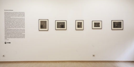 _MG_3811 _MG_3811