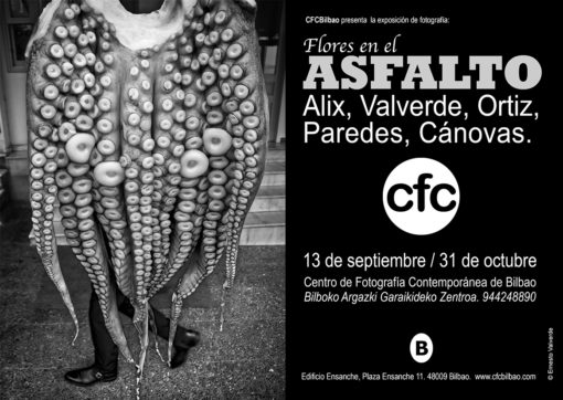 flyer altita flyer altita